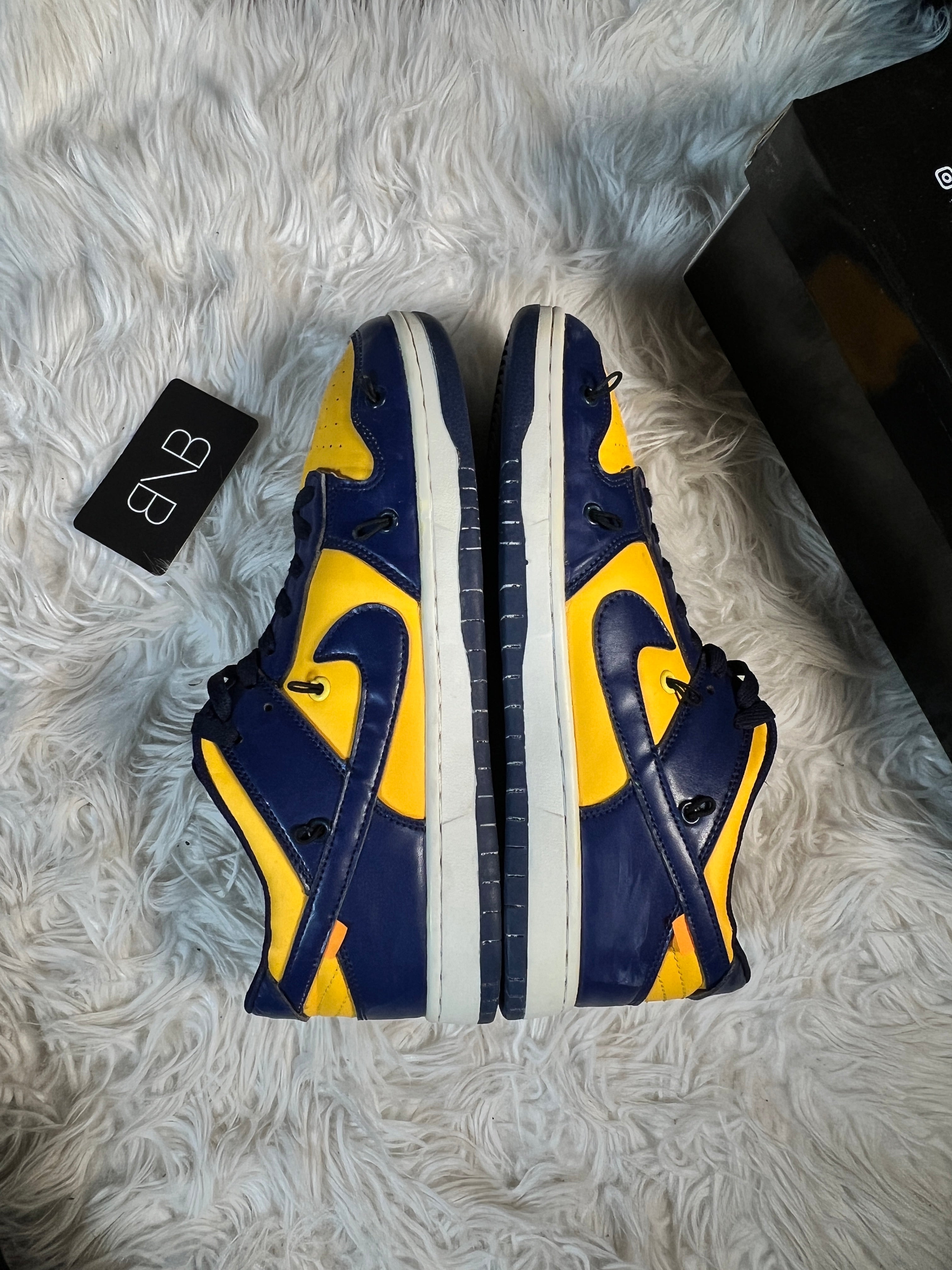 Nike dunk low “Michigan” | Size EUR 44